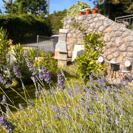 Apartment Zita Lovran Opric